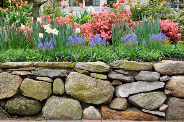Stone Wall Hardscaping in Gaithersburg