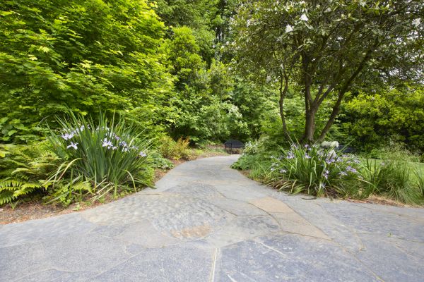 Stone Hardscape Service in Gaithersburg