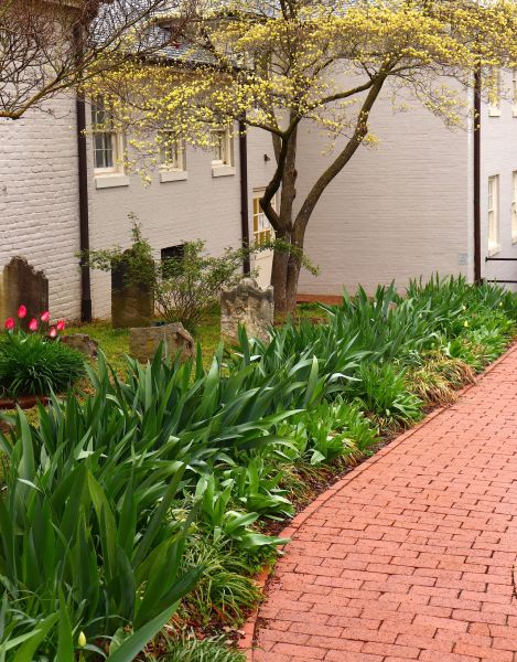 Brick Flatwork Repair in Gaithersburg